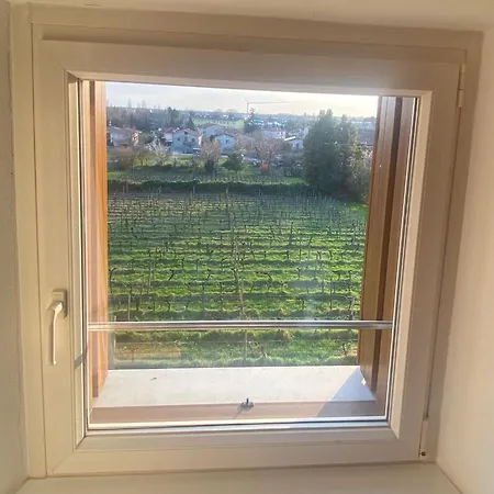 Dragoni Frühstückspension Buttrio