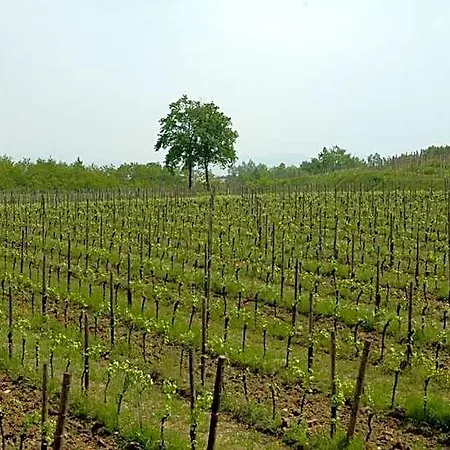فندق مبيت وإفطار Dragoni